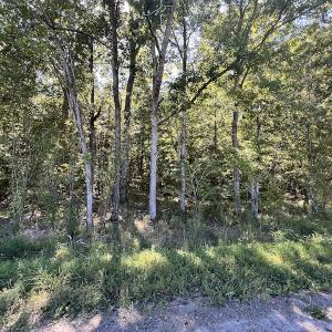 Photo #50 of 500 Indian Trail Road, Edenton, NC 963.8 acres