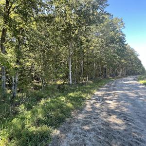 Photo #51 of 500 Indian Trail Road, Edenton, NC 963.8 acres