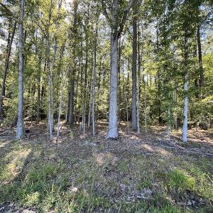Photo #52 of 500 Indian Trail Road, Edenton, NC 963.8 acres