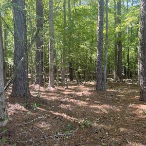 Photo #53 of 500 Indian Trail Road, Edenton, NC 963.8 acres