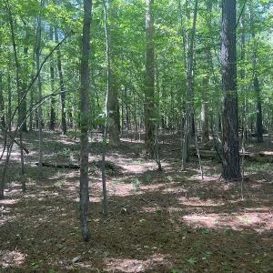 Photo #54 of 500 Indian Trail Road, Edenton, NC 963.8 acres