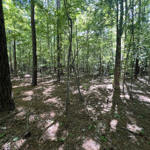 Photo #55 of 500 Indian Trail Road, Edenton, NC 963.8 acres