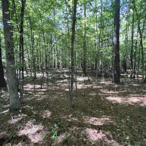 Photo #56 of 500 Indian Trail Road, Edenton, NC 963.8 acres