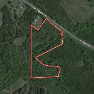 Photo #1 of SOLD property in Off Rascoe Dameron Road , Burlington, NC 10.9 acres