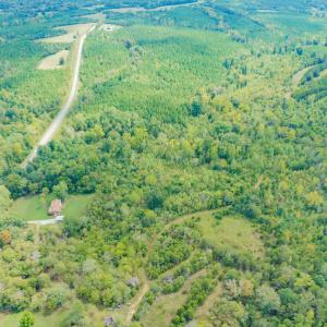 Photo #7 of SOLD property in Off Rascoe Dameron Road , Burlington, NC 10.9 acres