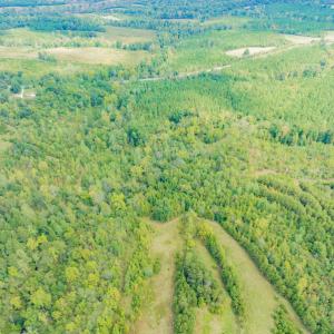 Photo #8 of SOLD property in Off Rascoe Dameron Road , Burlington, NC 10.9 acres