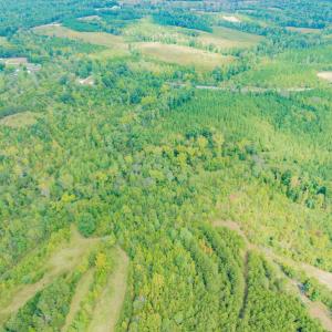Photo #9 of SOLD property in Off Rascoe Dameron Road , Burlington, NC 10.9 acres