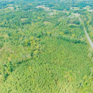 Photo #10 of SOLD property in Off Rascoe Dameron Road , Burlington, NC 10.9 acres