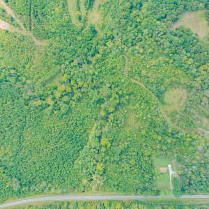 Photo #12 of SOLD property in Off Rascoe Dameron Road , Burlington, NC 10.9 acres