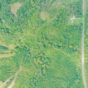 Photo #13 of SOLD property in Off Rascoe Dameron Road , Burlington, NC 10.9 acres