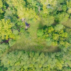 Photo #14 of SOLD property in Off Rascoe Dameron Road , Burlington, NC 10.9 acres