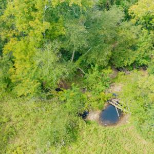 Photo #15 of SOLD property in Off Rascoe Dameron Road , Burlington, NC 10.9 acres