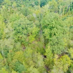 Photo #16 of SOLD property in Off Rascoe Dameron Road , Burlington, NC 10.9 acres