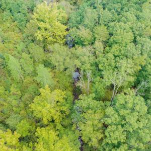 Photo #17 of SOLD property in Off Rascoe Dameron Road , Burlington, NC 10.9 acres