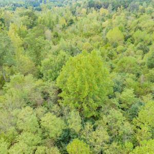 Photo #19 of SOLD property in Off Rascoe Dameron Road , Burlington, NC 10.9 acres