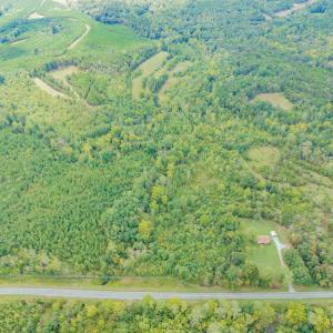 Photo #5 of SOLD property in Off Rascoe Dameron Road , Burlington, NC 10.9 acres