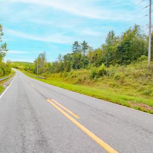 Photo #21 of SOLD property in Off Rascoe Dameron Road , Burlington, NC 10.9 acres