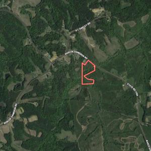 Photo #26 of SOLD property in Off Rascoe Dameron Road , Burlington, NC 10.9 acres