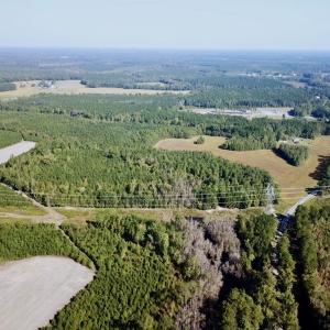 Photo #2 of SOLD property in Off Cabin Point Road, Disputanta, VA 15.0 acres