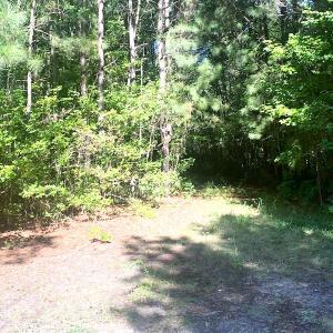 Photo #16 of SOLD property in Off Cabin Point Road, Disputanta, VA 15.0 acres