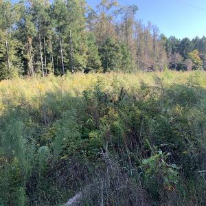 Photo #26 of SOLD property in Off Cabin Point Road, Disputanta, VA 15.0 acres