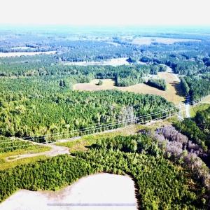Photo #33 of SOLD property in Off Cabin Point Road, Disputanta, VA 15.0 acres