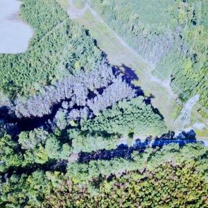 Photo #34 of SOLD property in Off Cabin Point Road, Disputanta, VA 15.0 acres