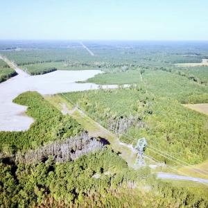 Photo #35 of SOLD property in Off Cabin Point Road, Disputanta, VA 15.0 acres