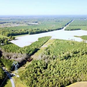 Photo #36 of SOLD property in Off Cabin Point Road, Disputanta, VA 15.0 acres