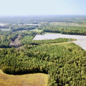 Photo #37 of SOLD property in Off Cabin Point Road, Disputanta, VA 15.0 acres