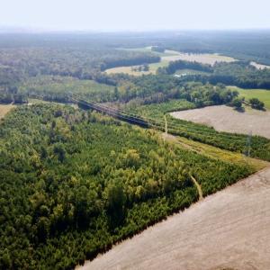 Photo #38 of SOLD property in Off Cabin Point Road, Disputanta, VA 15.0 acres