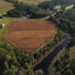 Photo #10 of SOLD property in 945 Hardesty Loop Road, Newport, NC 44.5 acres