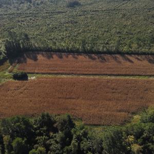 Photo #11 of SOLD property in 945 Hardesty Loop Road, Newport, NC 44.5 acres