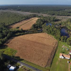 Photo #13 of SOLD property in 945 Hardesty Loop Road, Newport, NC 44.5 acres