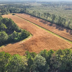 Photo #14 of SOLD property in 945 Hardesty Loop Road, Newport, NC 44.5 acres