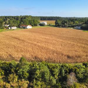Photo #16 of SOLD property in 945 Hardesty Loop Road, Newport, NC 44.5 acres