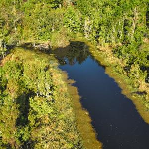 Photo #17 of SOLD property in 945 Hardesty Loop Road, Newport, NC 44.5 acres
