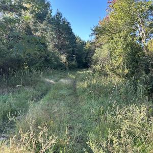 Photo #22 of SOLD property in 945 Hardesty Loop Road, Newport, NC 44.5 acres