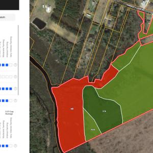 Photo #25 of SOLD property in 945 Hardesty Loop Road, Newport, NC 44.5 acres