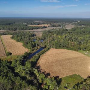Photo #3 of SOLD property in 945 Hardesty Loop Road, Newport, NC 44.5 acres