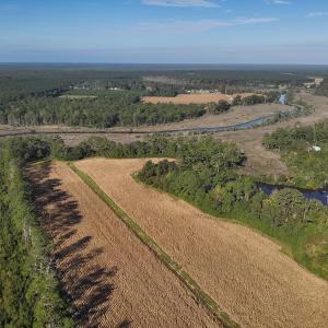 Photo #4 of SOLD property in 945 Hardesty Loop Road, Newport, NC 44.5 acres