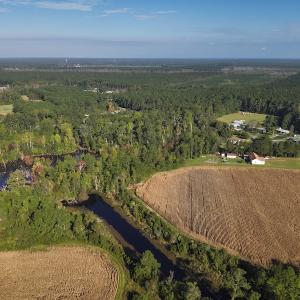 Photo #5 of SOLD property in 945 Hardesty Loop Road, Newport, NC 44.5 acres