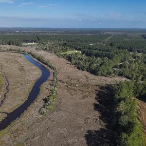 Photo #6 of SOLD property in 945 Hardesty Loop Road, Newport, NC 44.5 acres