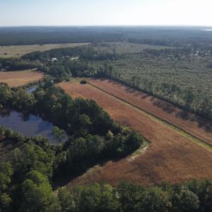 Photo #8 of SOLD property in 945 Hardesty Loop Road, Newport, NC 44.5 acres