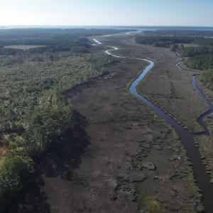 Photo #9 of SOLD property in 945 Hardesty Loop Road, Newport, NC 44.5 acres
