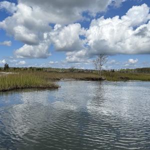 Photo #13 of SOLD property in Off Styron Creek Road, Sealevel, NC 105.0 acres