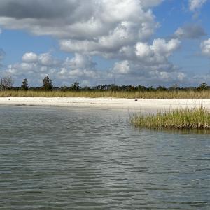 Photo #14 of SOLD property in Off Styron Creek Road, Sealevel, NC 105.0 acres