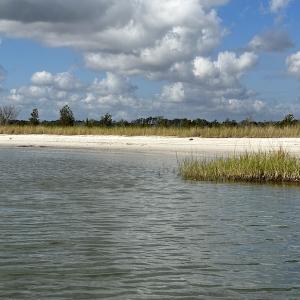 Photo #15 of SOLD property in Off Styron Creek Road, Sealevel, NC 105.0 acres