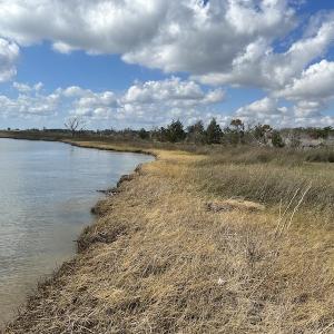 Photo #16 of SOLD property in Off Styron Creek Road, Sealevel, NC 105.0 acres