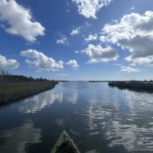 Photo #20 of SOLD property in Off Styron Creek Road, Sealevel, NC 105.0 acres